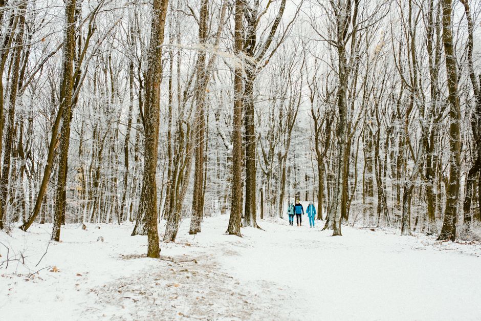 Two adults walking in a snowy forest during winter, surrounded by bare trees.