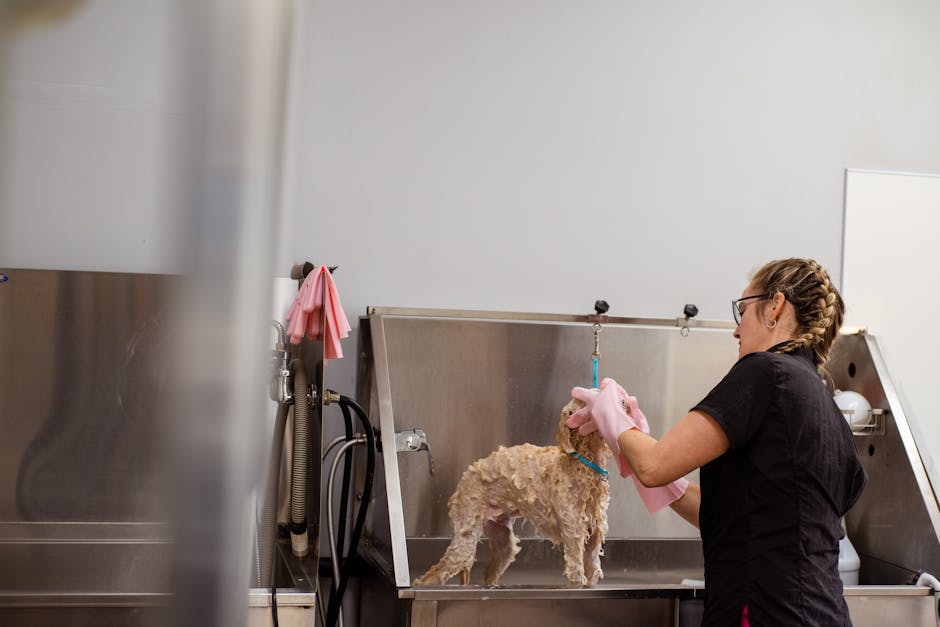 A dog groomer is bathing a small dog in a professional grooming salon, showcasing pet care.