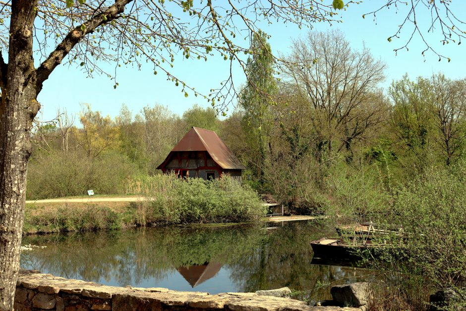 Serene scene of a rustic cabin reflecting on a pond in Ungersheim, France, surrounded by lush greenery.