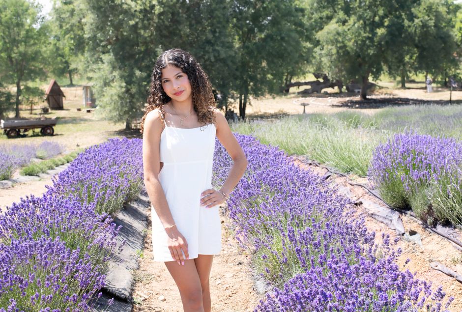 Lavender Season in Provence: Plan the Right Summer Trip