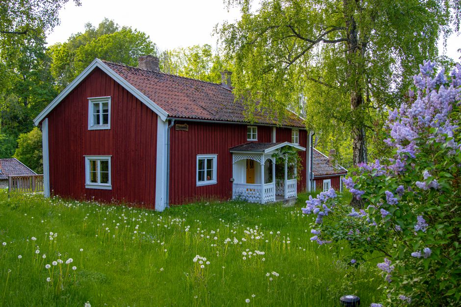 Idyllic red Swedish cottage surrounded by lush greenery and lilacs in Gränna.