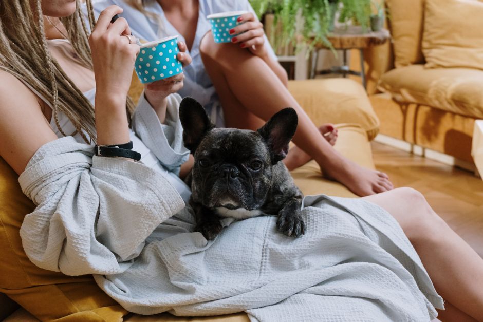 Two women enjoying a relaxed indoor moment with a French Bulldog on a sofa.