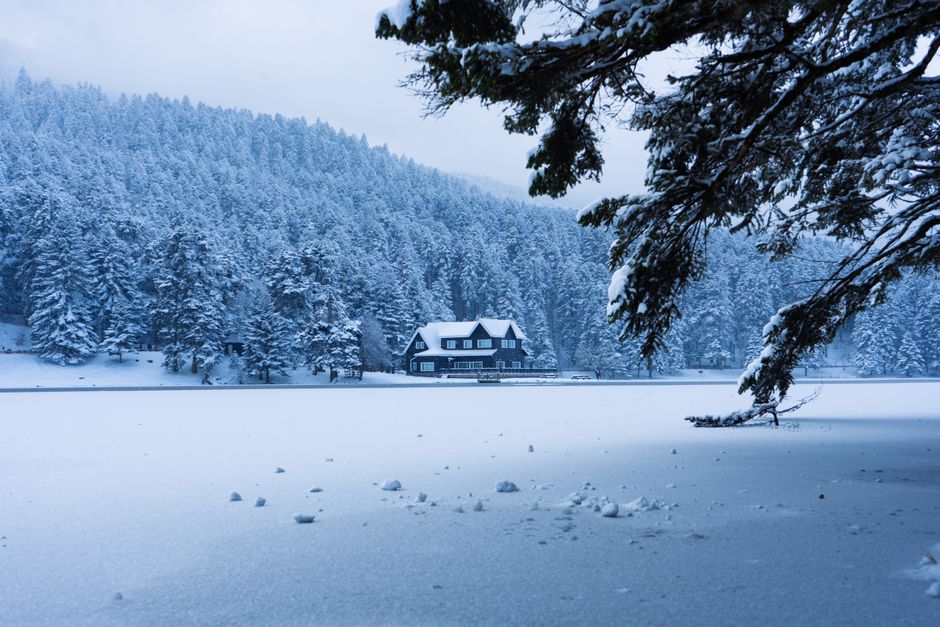 A serene winter landscape with a snowy house in Bolu, Türkiye.