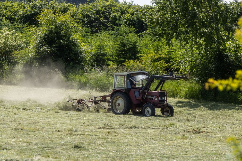 Red tractor plowing a field surrounded by lush green trees in summer.