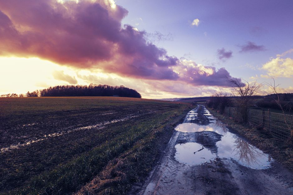 Scottish Borders Spring Road Trip: A 4-Day Plan