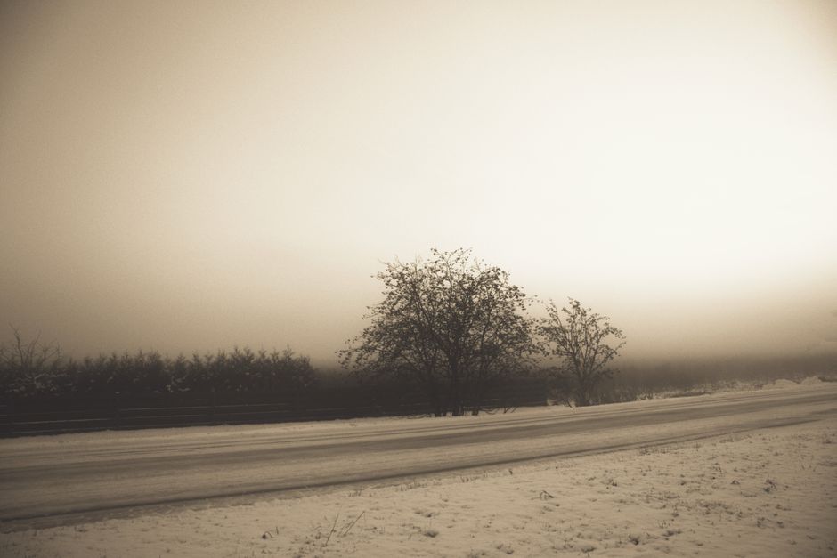 A serene foggy winter landscape in Estonia with snow-covered road and trees.