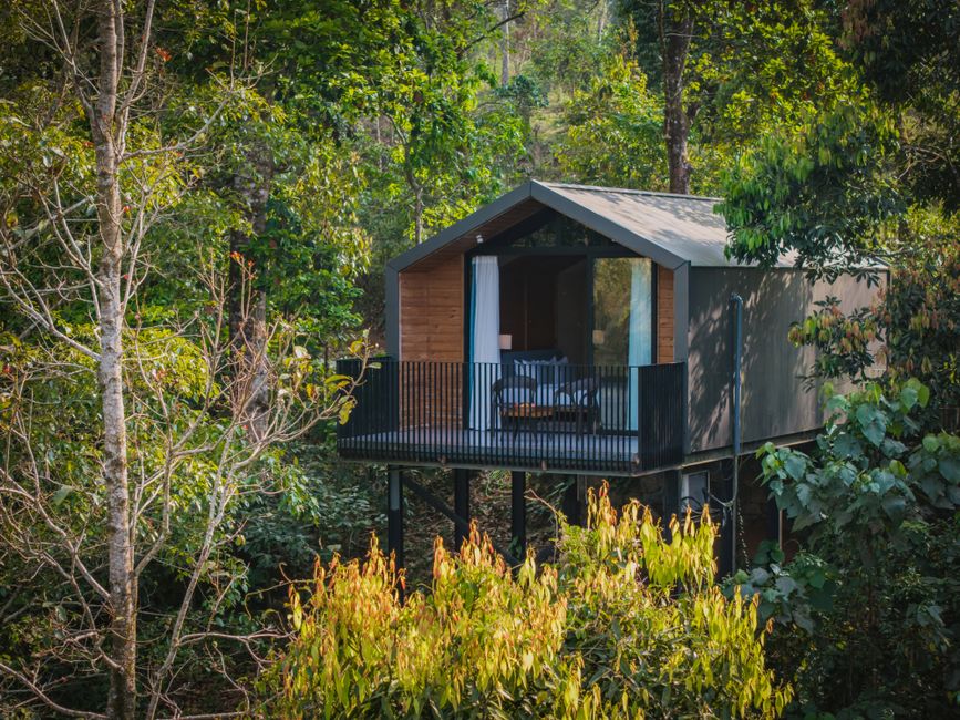 Treehouse Stays Costa Rica 2026: My 5 Favorite Treehouse Stays in Costa Rica for a Unique 2026 Getaway