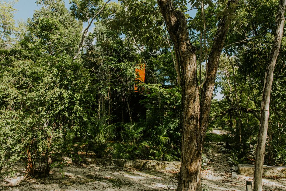 A hidden house amidst dense, vibrant green forest foliage expressing tranquility and seclusion.