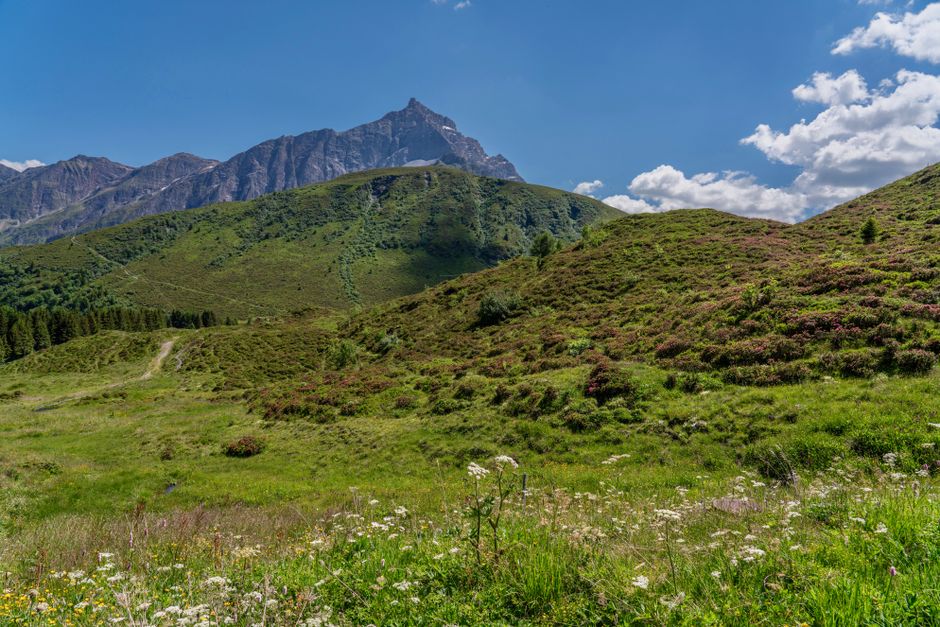 Idyllic alpine scene with lush green hills and towering mountain under a bright blue sky.
