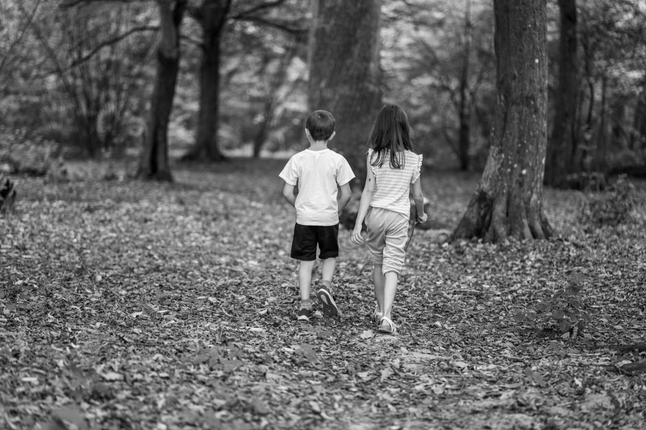 Two children walking hand in hand through a serene forest in autumn.