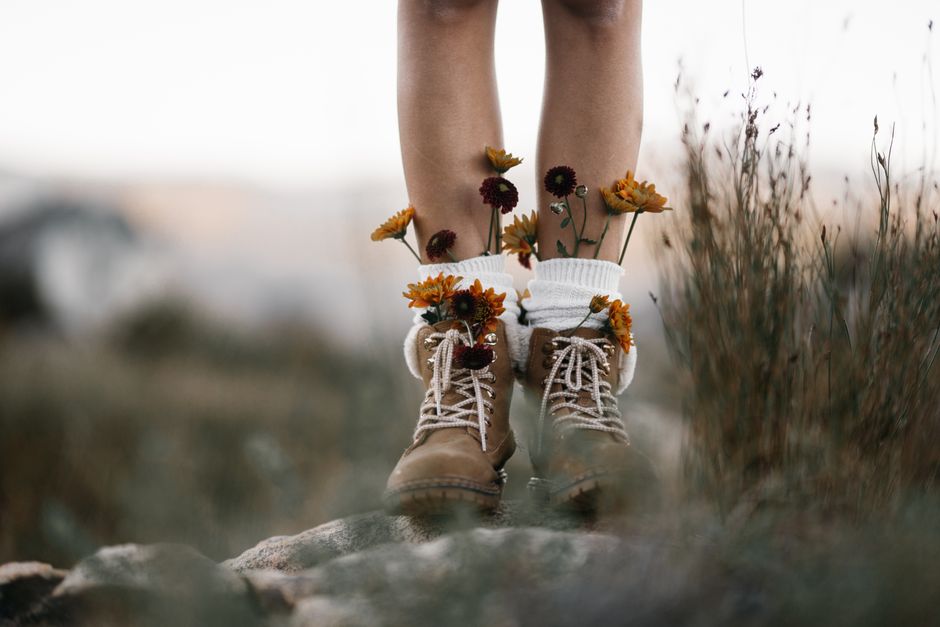 Wildflower Walks in the Picos de Europa